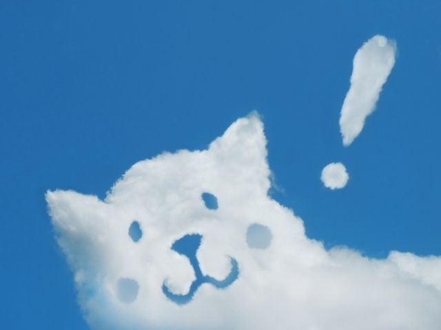 ダウンロード (4).jpeg